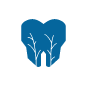 Root Canal Therapy